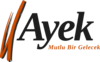 ayekgrup.com